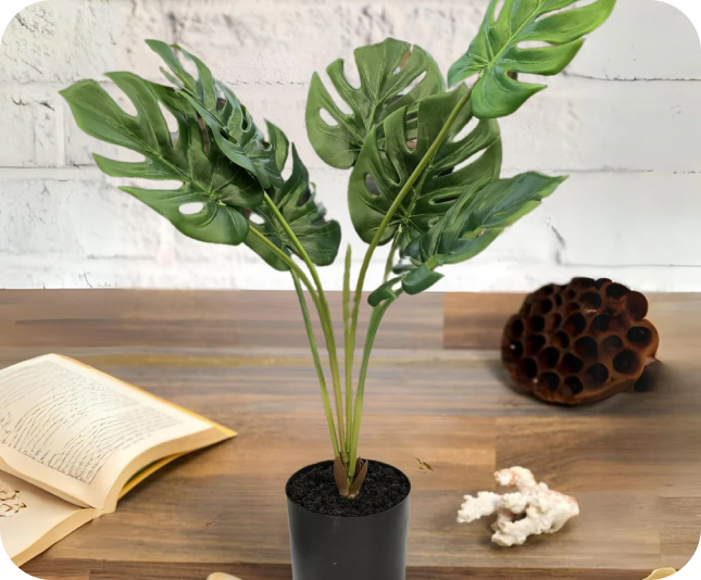 Artificial Plants & Flowers